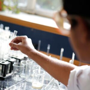 Company A student in a lab conducting a chemistry experiment with test tubes during bright sunlight.