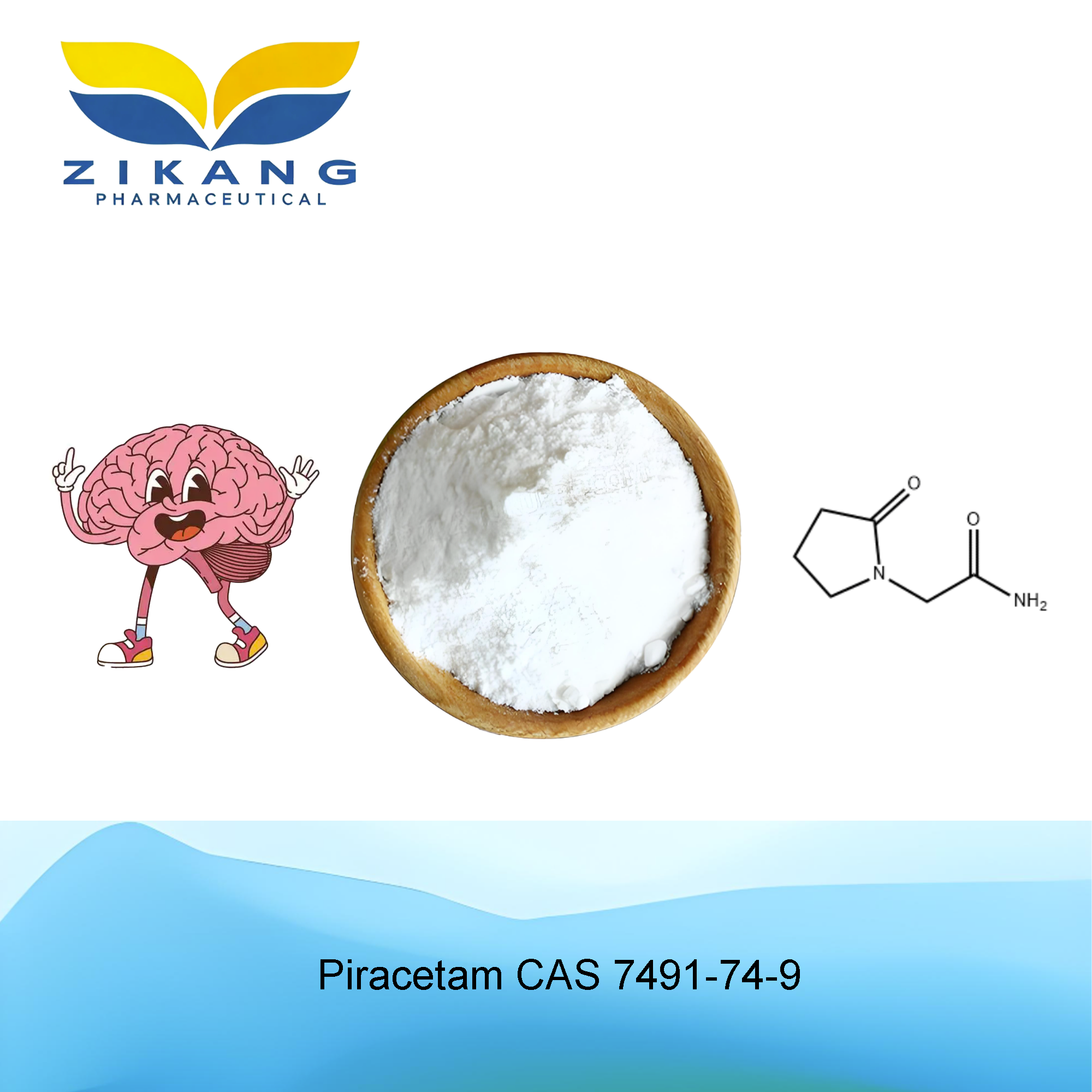 piracetam cas 7491 74 9