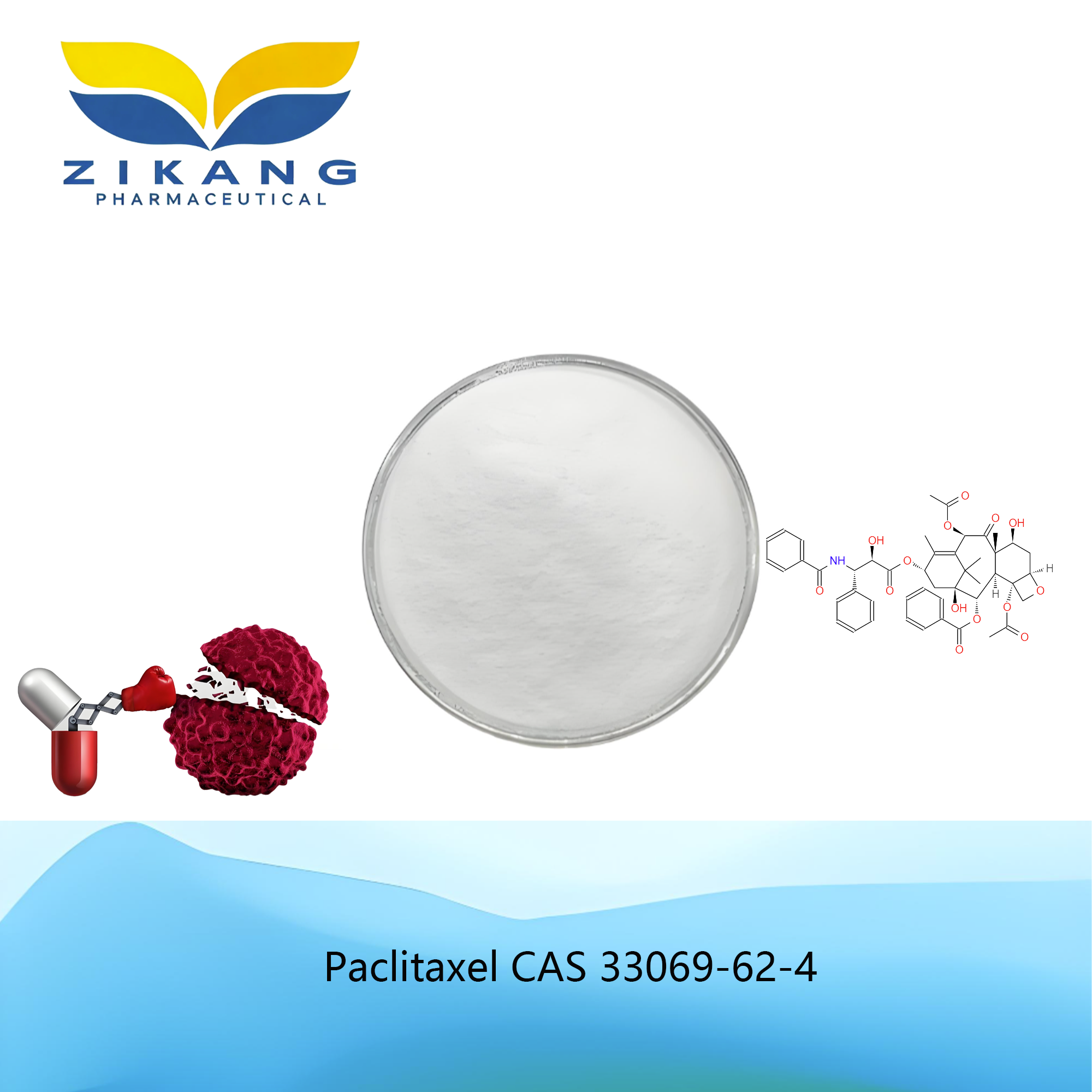paclitaxel
