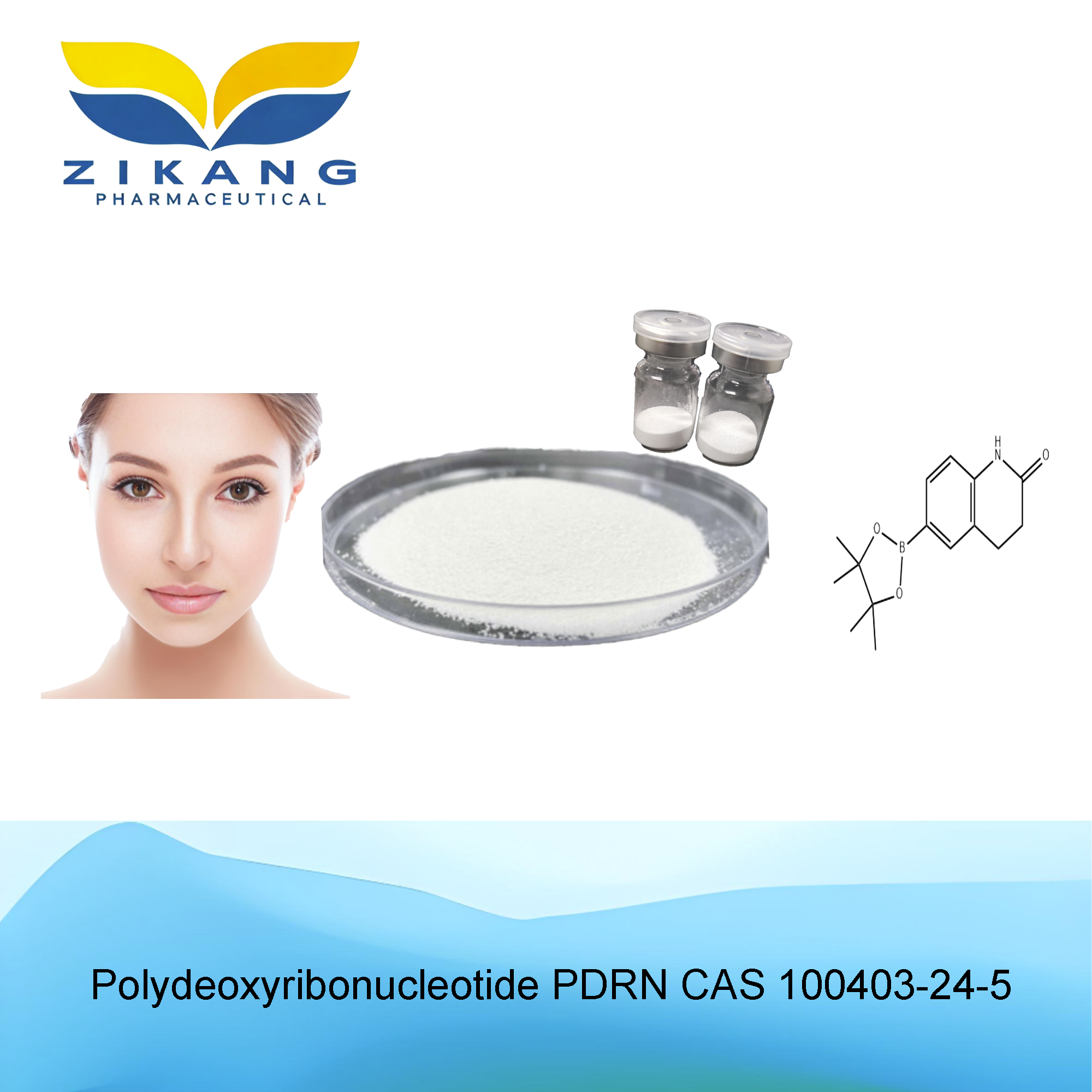 polydeoxyribonucleotide