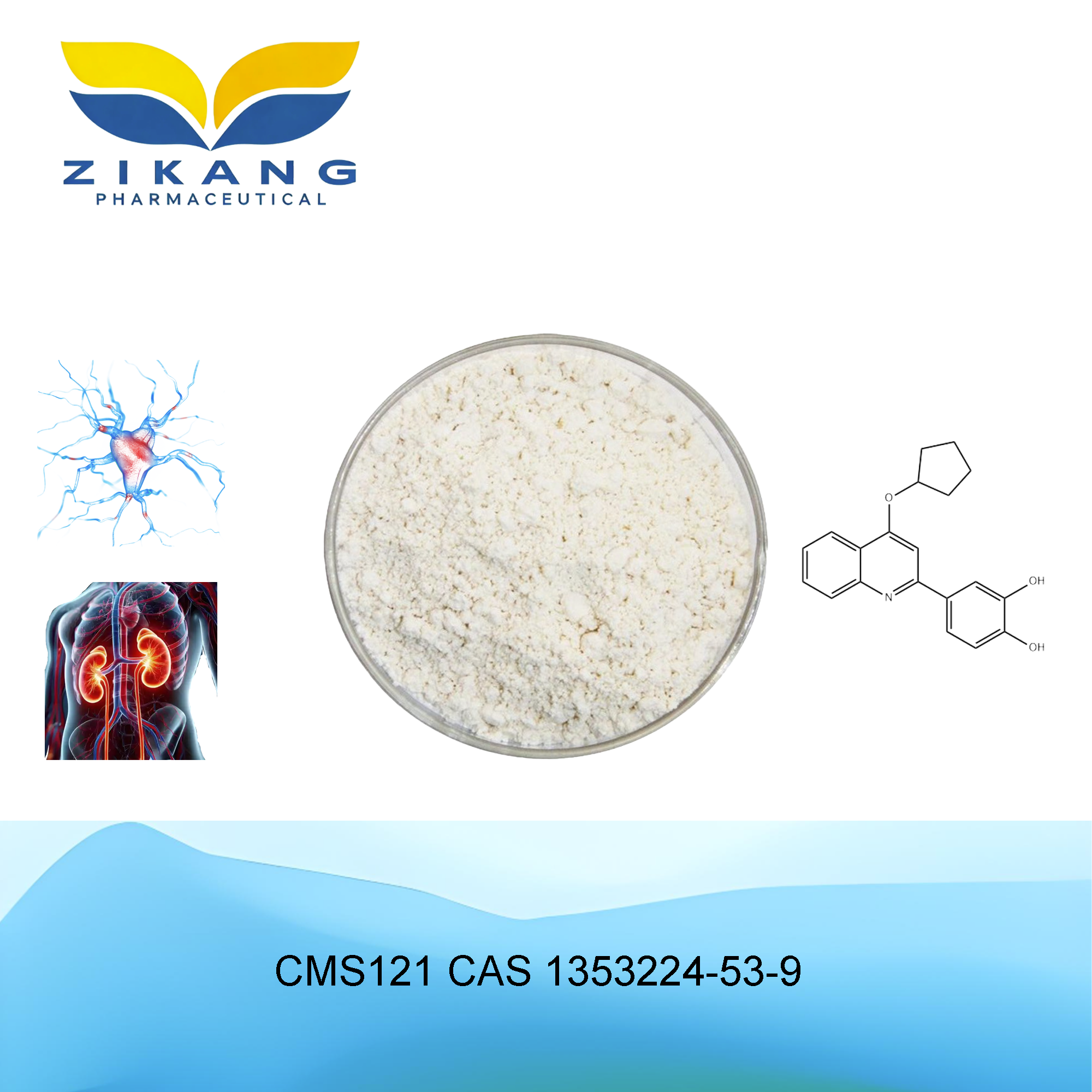 cms121 cas 1353224 53 9
