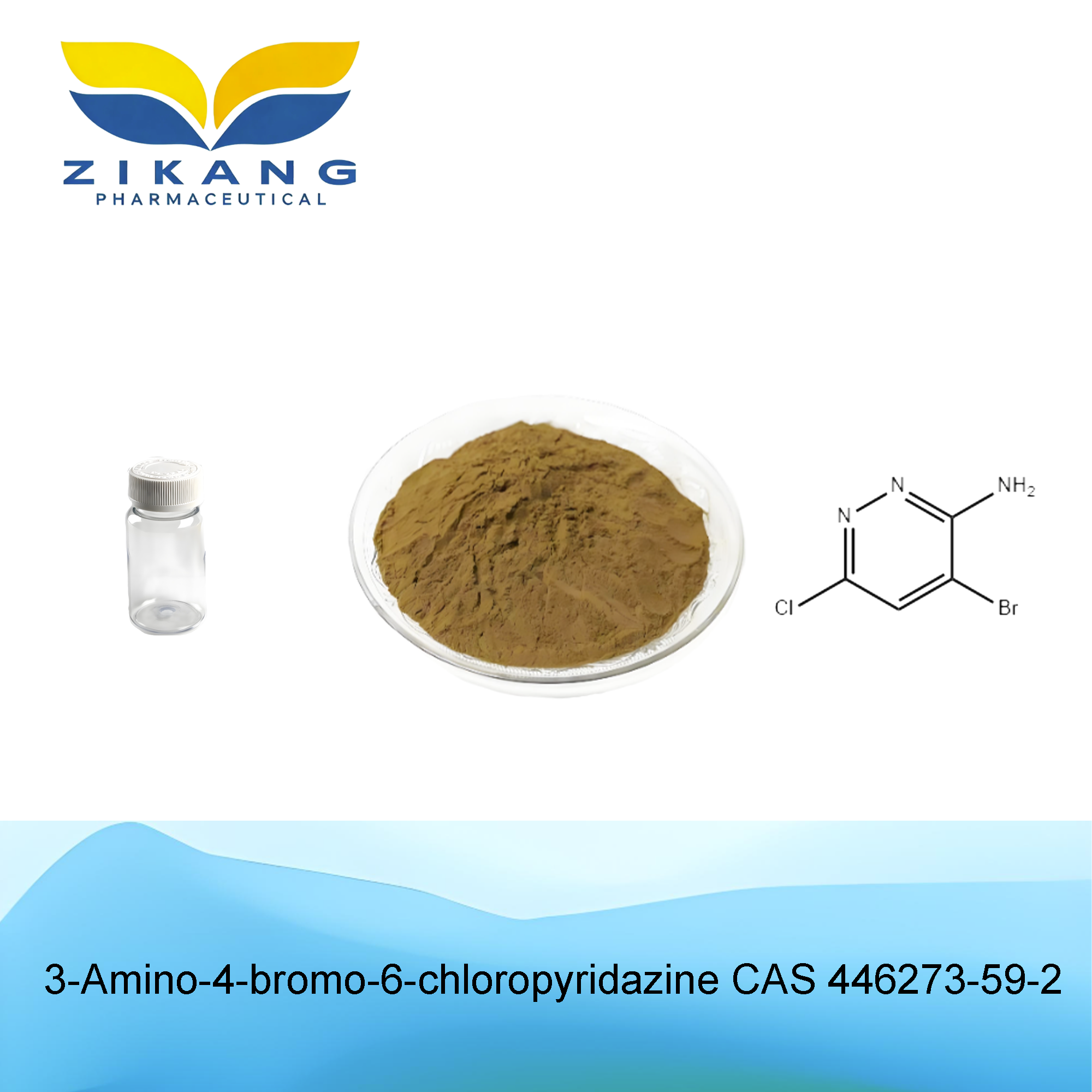 3 amino 4 bromo 6 chloropyridazine cas 446273 59 2