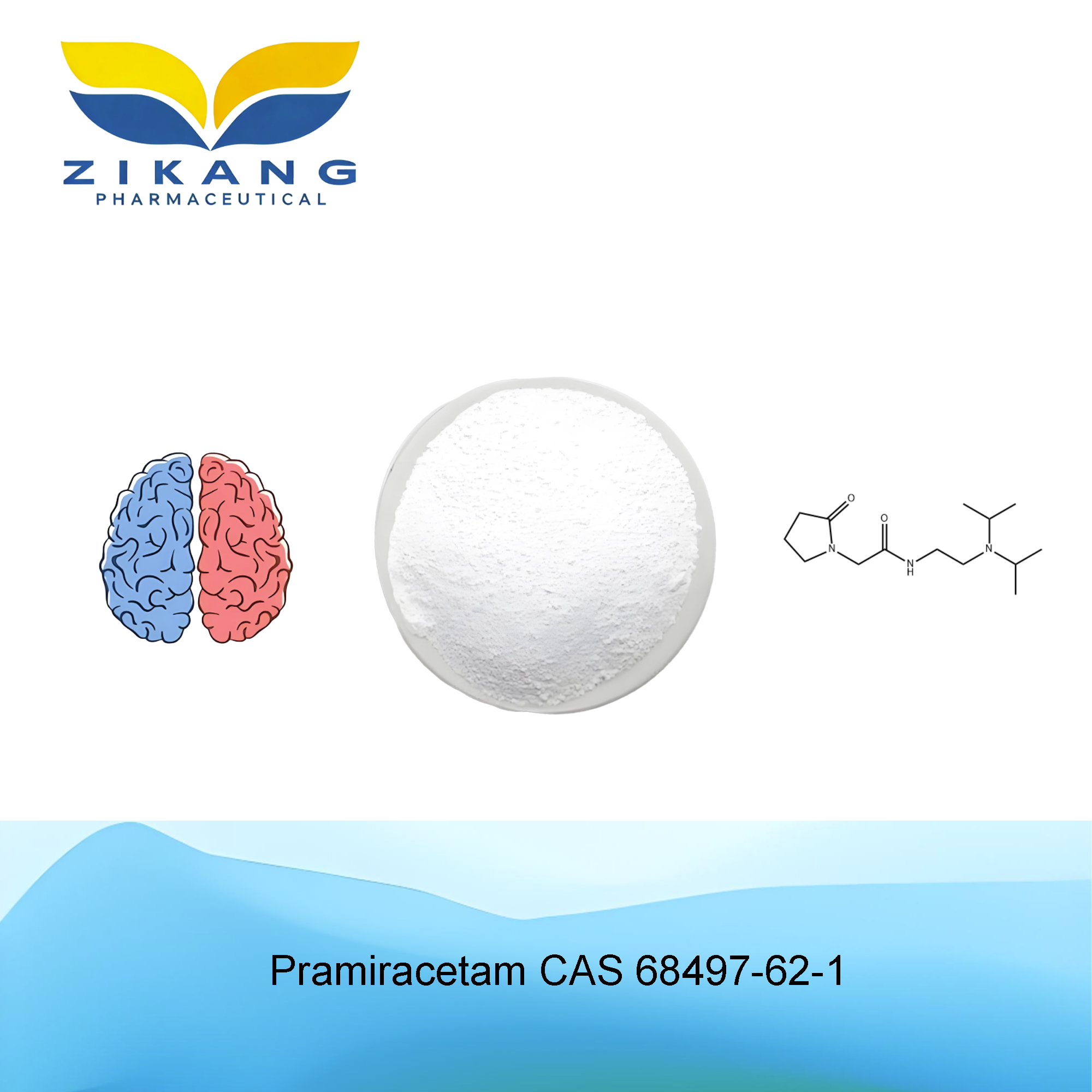 pramiracetam cas 68497 62 1