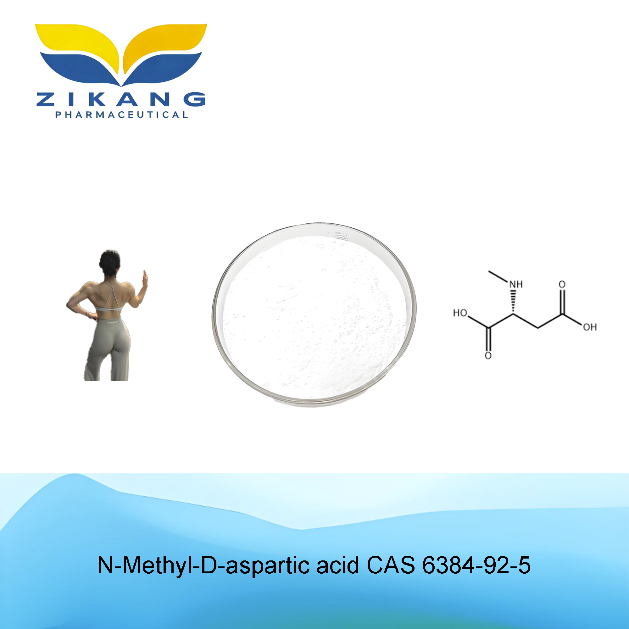 n methyl d aspartic acid cas 6384 92 5