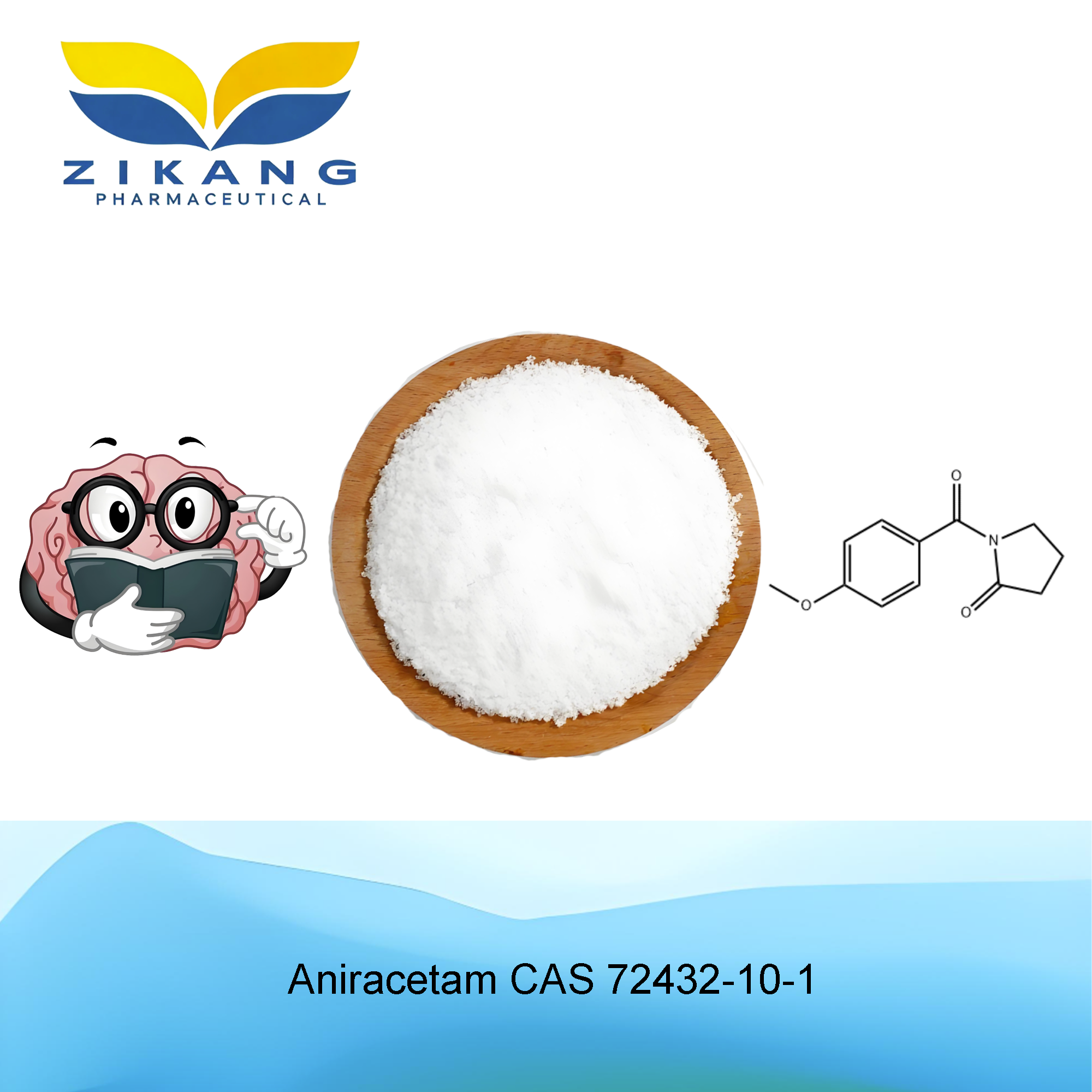 aniracetam cas 72432 10 1