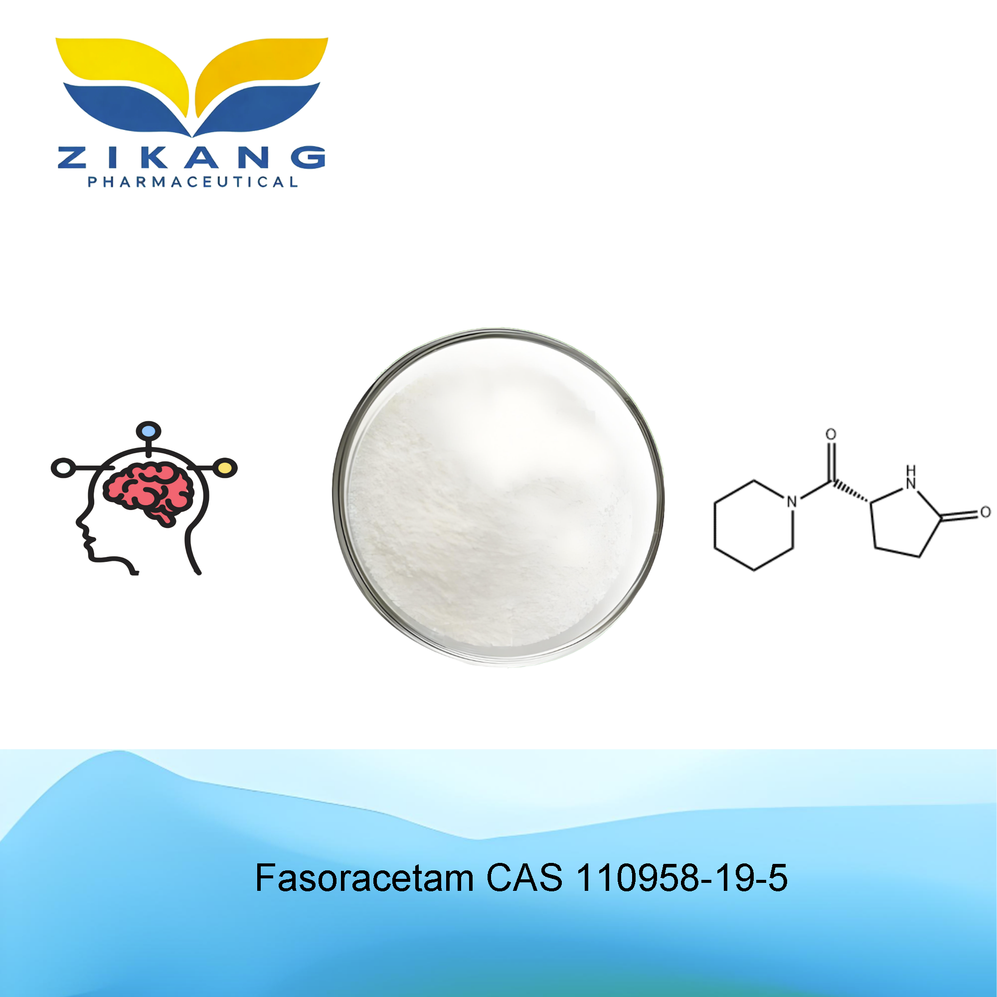 fasoracetam cas 110958 19 5